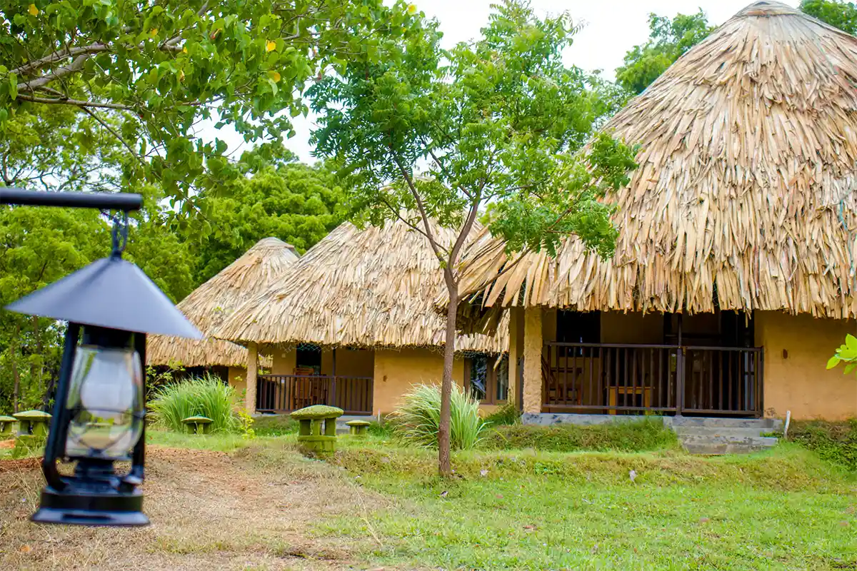 Cabanas Saffron Lake Yala Premises